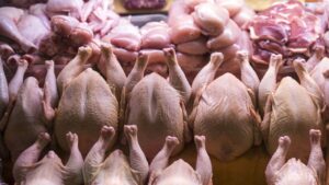 رییس اتحادیه فروشندگان گوشت ،مرغ ،تخم مرغ در اهواز/ وجود رانت در بازار مرغ