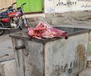 لاشه حیوان سلاخی شده در سطل زباله خیابان عبدالله بانو شوشتر متعلق به یک‌‌ راس گاومیش بوده است
