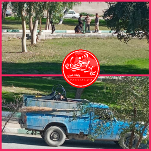 چرا شهرداری تجهیزات ورزشی پارک شهید تقوی دروازه شوشتر را جمع آوری کرده است؟