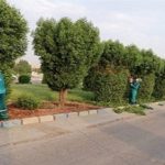ایجاد و توسعه کمربند سبز پیرامون شهر اهواز
