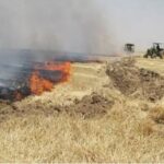 دادستان شوشتر: برخورد قضایی با کشاورزانی که بقایای محصول خود را آتش می‌زنند