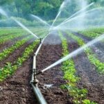 با تعیین ضرب‌الاجل ۳ ماهه؛ دادستان شوشتر به پروژه آبیاری کشاورزی منطقه پیرکاری ورود کرد