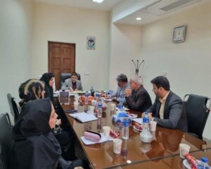 معاون اجتماعی دادگستری خوزستان: از ظرفیت سمن‌ها در شناسایی افراد نیازمند حمایت در جامعه استفاده شود