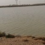 نایب رییس انجمن صنفی کشاورزان خوزستان؛بارندگی به مزارع کشاورزی اهواز خسارت سنگین زد / مسئولین فکری برای جبران فوری خسارت کشاورزان کنند