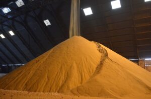 شرکت کشت وصنعت نیشکر امام خمینی( ره ) رکورد دار تولید شکر در بین واحدهای نیشکری