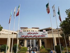 لابی های ادامه دار سیاسی و قومیتی در استان برای انتصاب ریاست دانشگاه علوم پزشکی جندی شاپور اهواز